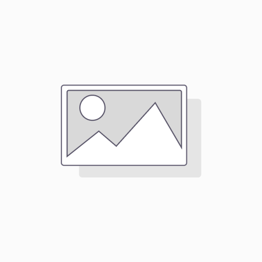 Michelin e4 22-6m+24-9m schrader